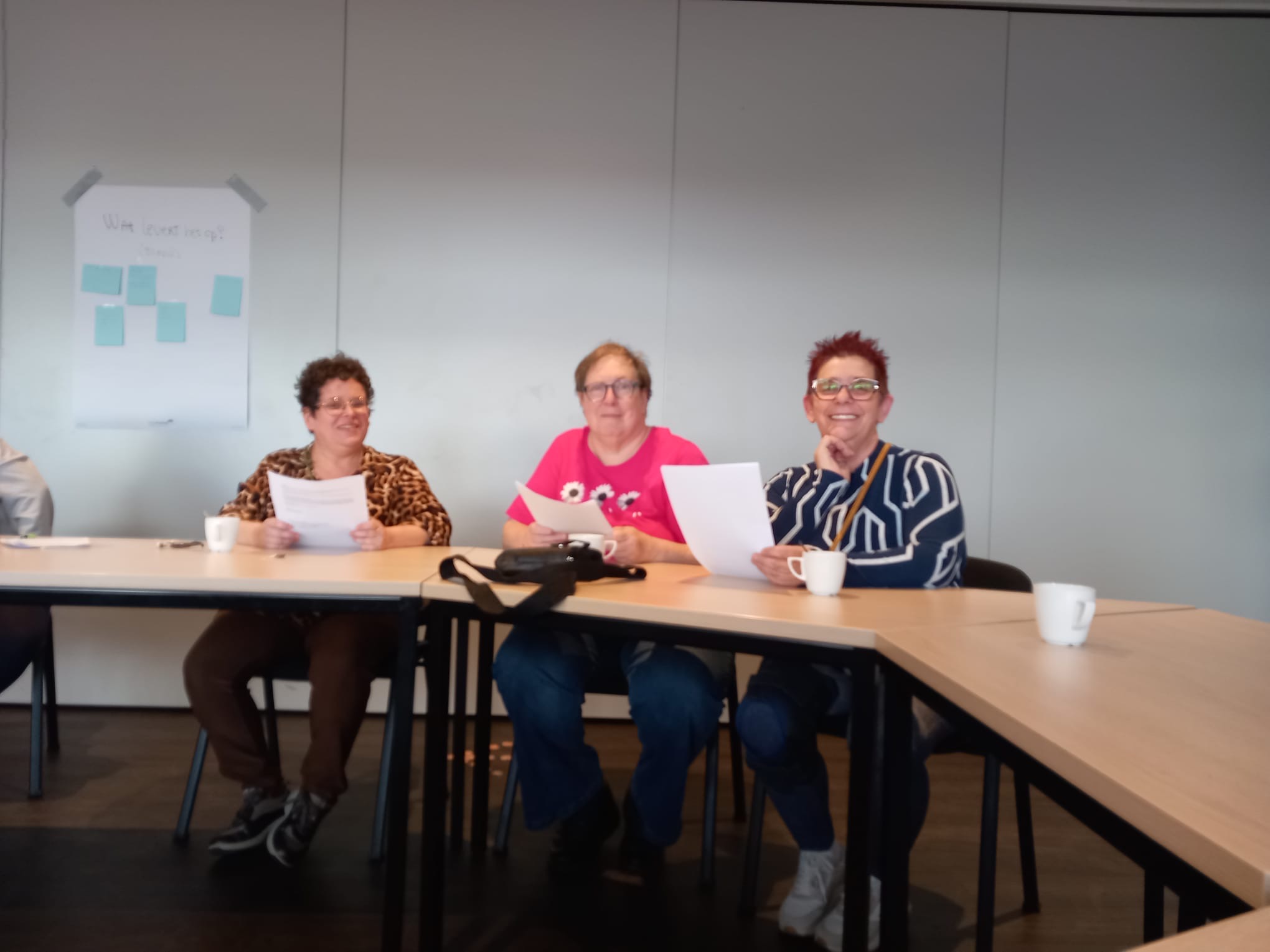 Breinbrekers-panel enthousiast over eenvoudige brief gemeente Nederweert